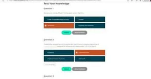 Interactive labs/quizzes